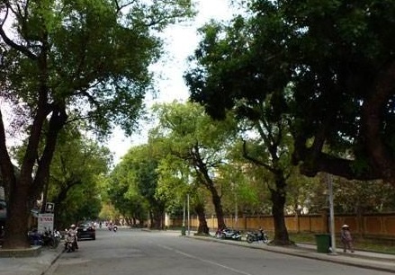 Cua hang yen sao ha noi chat luong cao tai pho nguyen truong